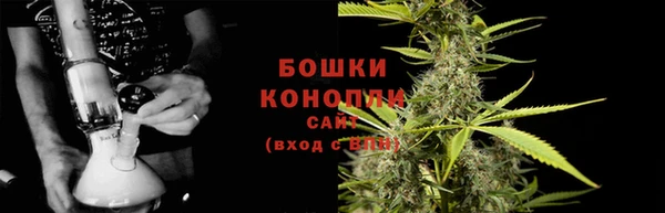 шишки Балабаново