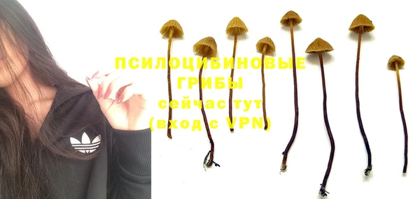 шишки Балабаново