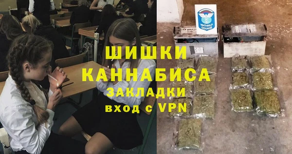 шишки Балабаново